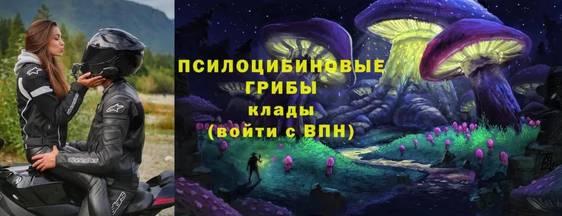 Галлюциногенные грибы MAGIC MUSHROOMS  наркота  Уфа 